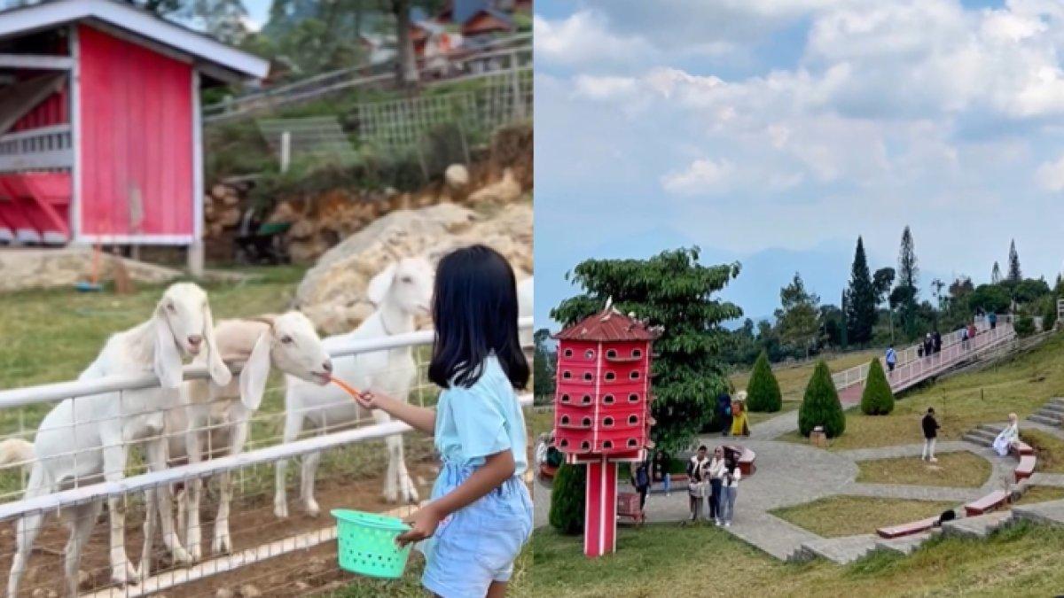 WISATA SERU - Potret Little Ranch Semarang diambil dari Instagram pada Minggu (6/4/2025). Little Ranch Semarang berada di Bandungan, Kabupaten Semarang, Jawa Tengah.