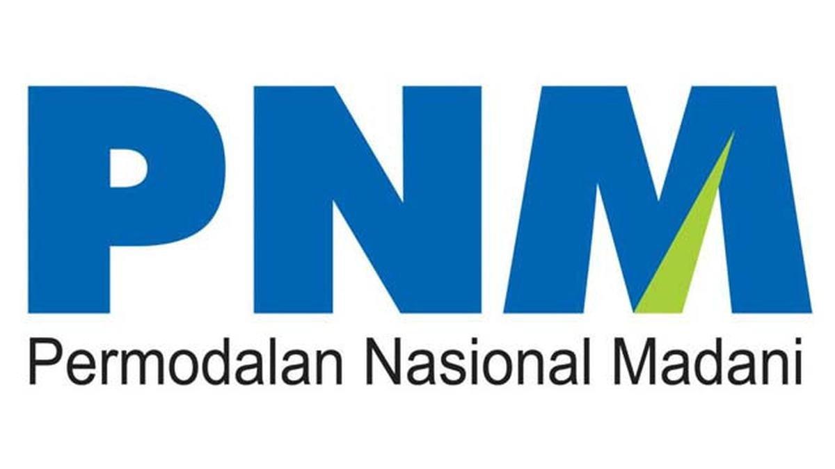 Logo PNM.