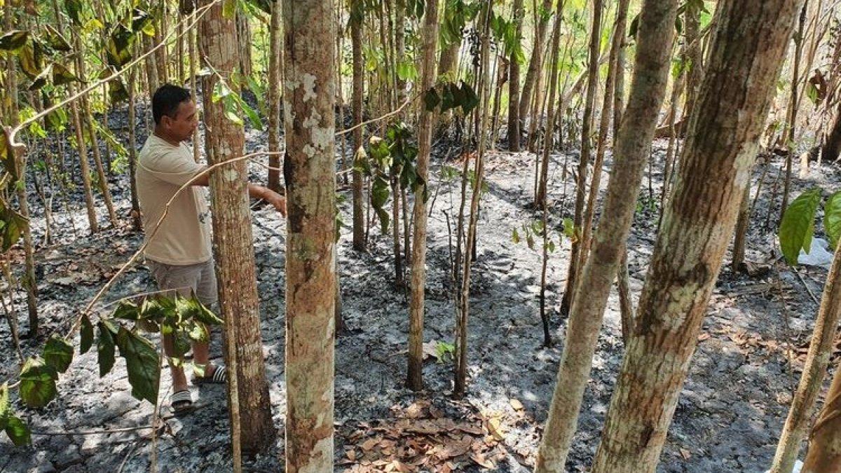 Lokasi meninggalnya Sagiyo, di Kalurahan Bunder, Patuk, Gunungkidul. Kamis (2/11/2023).