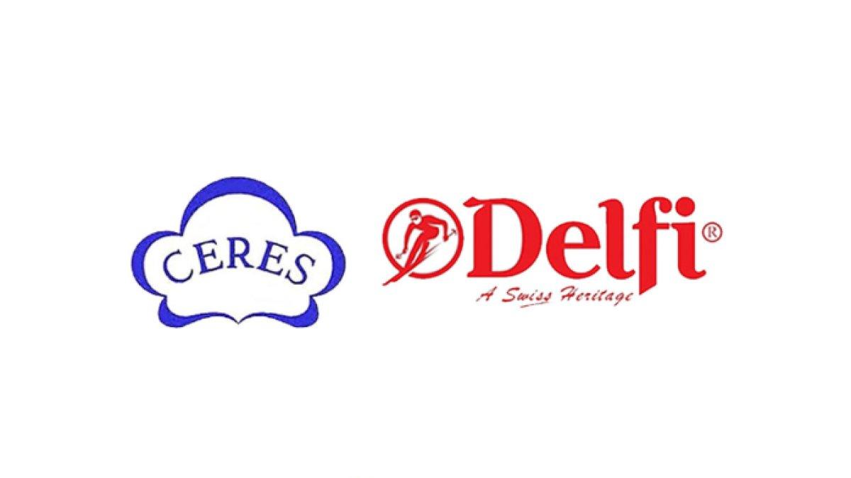 Delfi Group