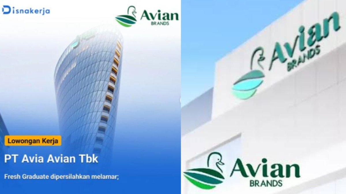 Lowongan kerja PT Avia Avian