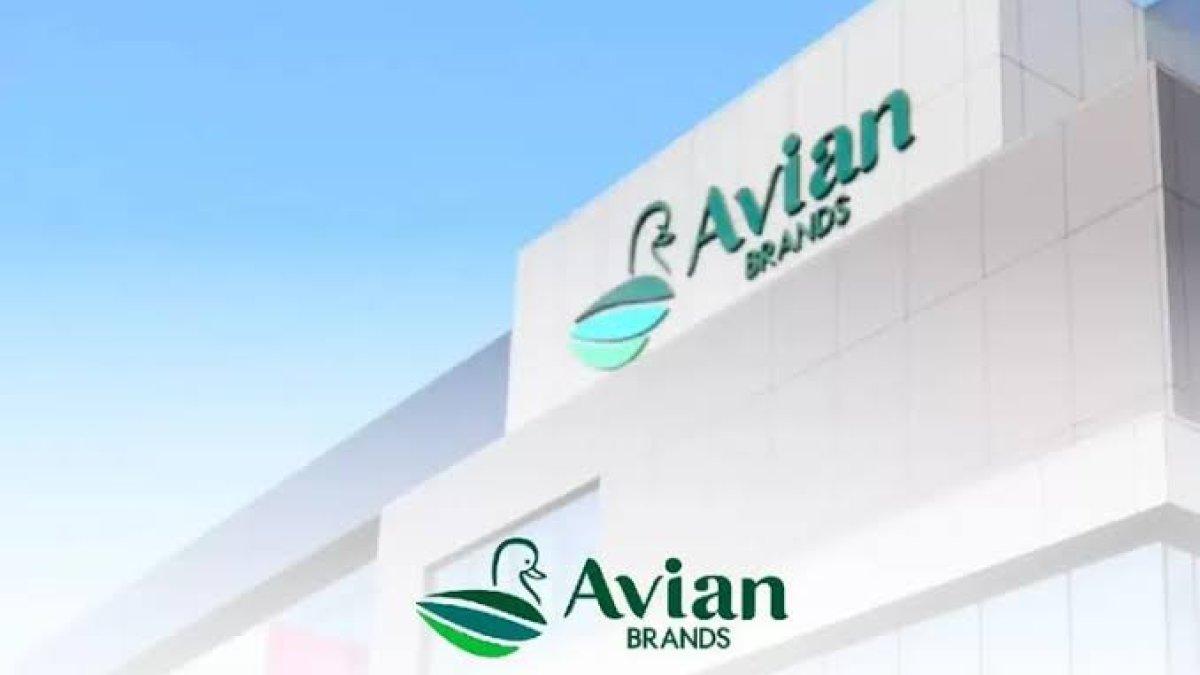 Lowongan kerja PT Avia Avian
