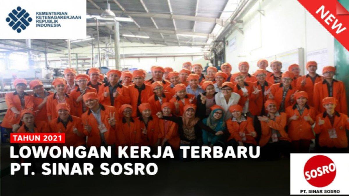 Lowongan kerja PT Sinar Sosro 2024