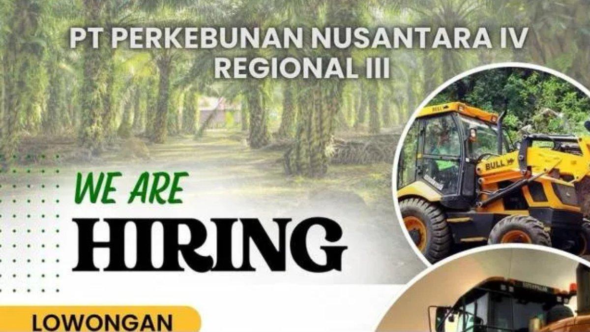 Lowongan kerja anak usaha BUMN PT Perkebunan Nusantara III (Persero).