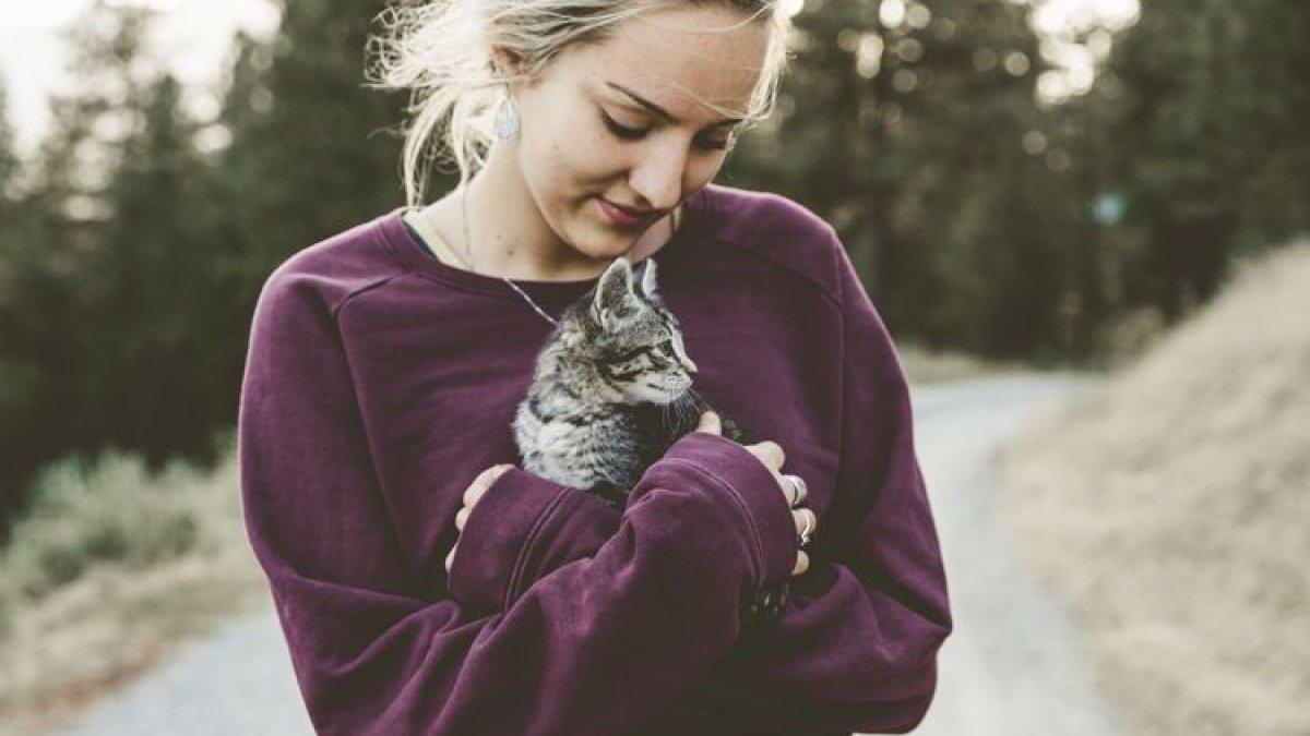 Pekerjaan memeluk anak kucing bergaji belasan juta di Kanada