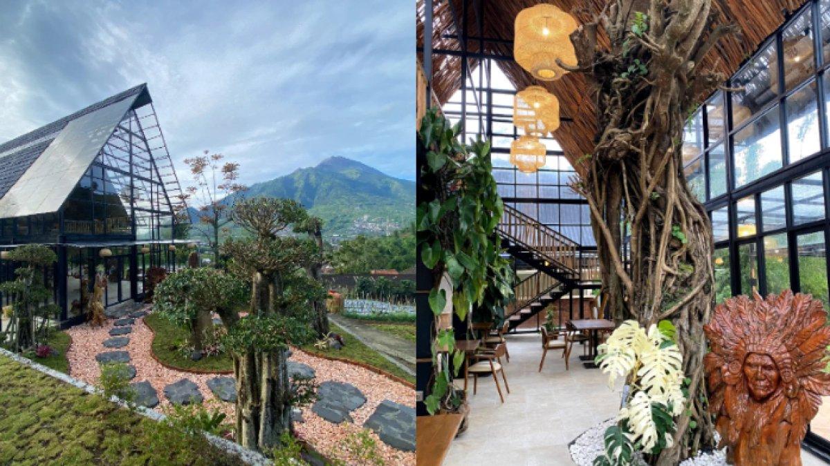 KULINER MENARIK - Potret Luxview Resto diambil dari Instagram pada Jumat (27/6/2025). Lokasinya berada di Dusun IV, Samiran, Kecamatan Selo, Kabupaten Boyolali.