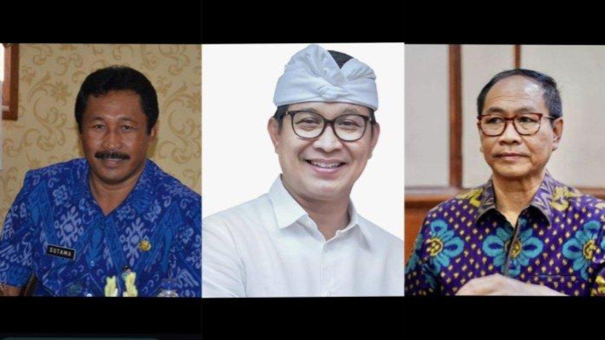 Made Sutama, I Wayan Adi Arnawa, Ketut Suiasa - Suiasa Akui Sudah Daftar, Fix Tiga Tokoh Pecatu Rebut Rekomendasi dari PDIP.