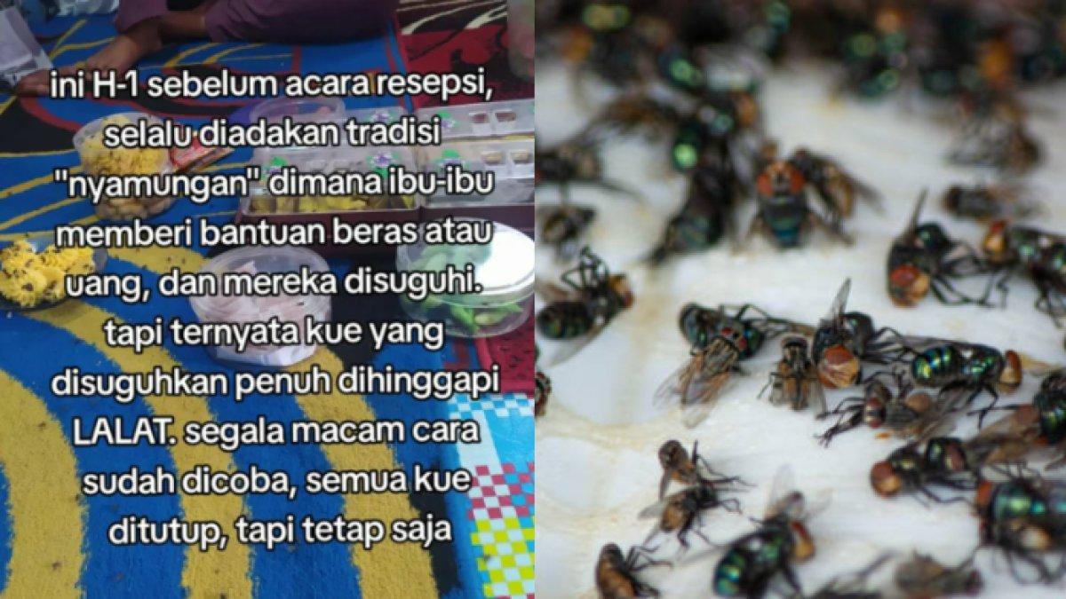Makanan Dikerumini ribuan lalat