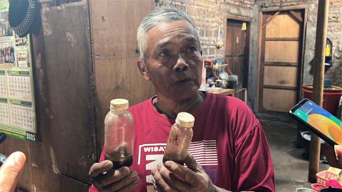 JASA KAWIN KAMBING - Sukiman (60), warga Dukuh Bero, Desa Bero, Kecamatan Trucuk, Klaten yang berprofesi sebagai juru kawin kambing.