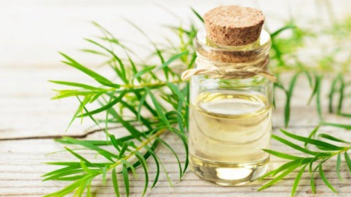 Masker tea tree oil untuk jerawat