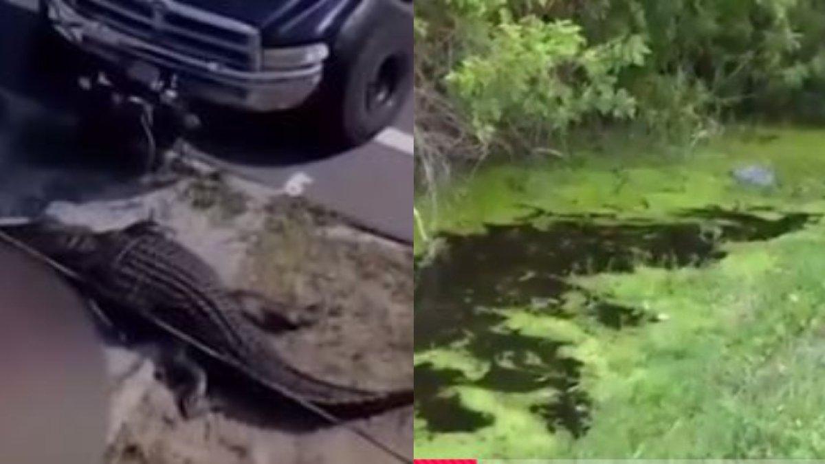 Mayat ditemukan tepat di depan sekolah dan Klub Putra dan Putri.