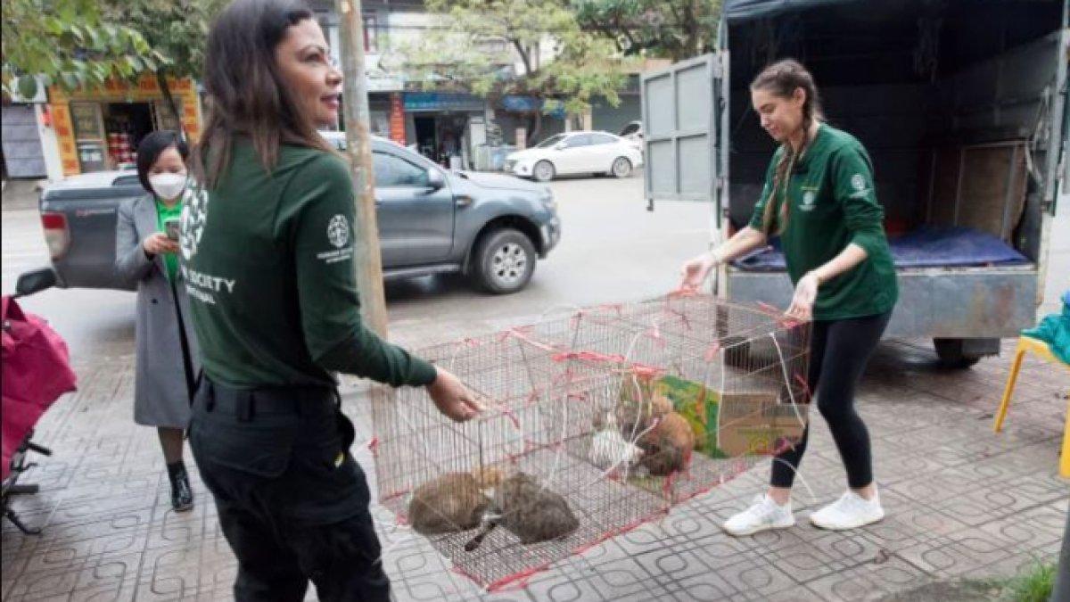 Menyelamatkan nyawa 20 kucing dan anak kucing yang dikurung.