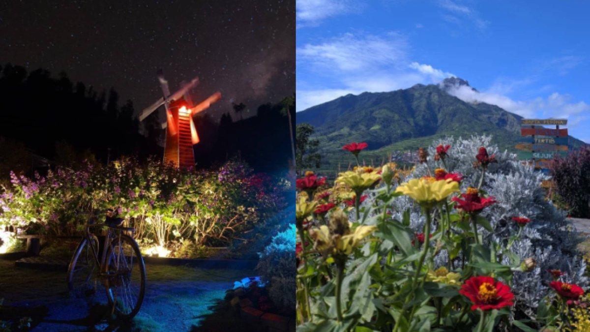 WISATA ALAM - Potret Merapi Garden diambil dari Instagram pada Senin (17/3/2025). Merapi Garden berada di Desa Samiran, Kecamatan Selo, Kabupaten Boyolali.