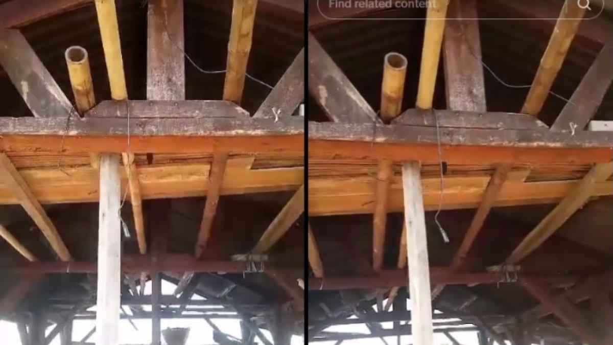 Meski tidur di kandang sapi tidak nyaman, namun Rauf lebih kerasan dibanding di rumah ibunya.