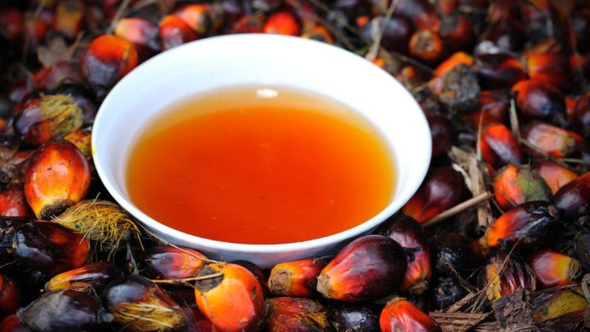 Presiden Jokowi mempromosikan minyak makan merah, yang diklaim lebih murah dari minyak goreng.