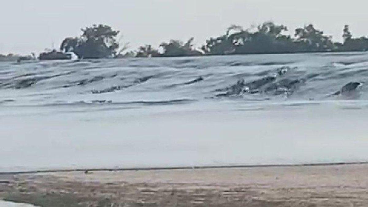 Misteri baby volcano yang muncul tiba-tiba di Grobogan setelah gempa Tuban