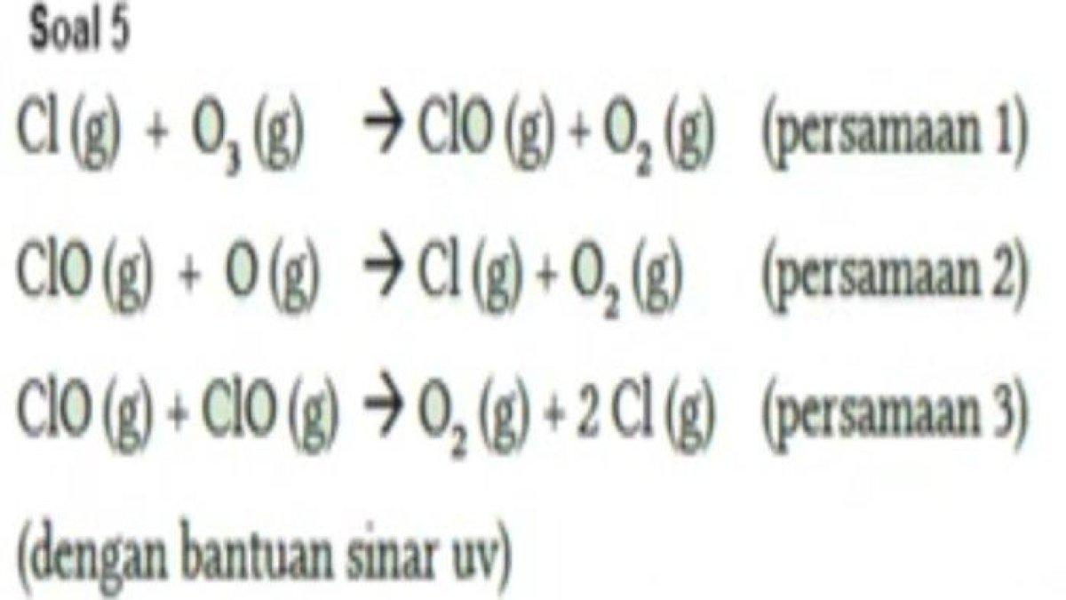 Kunci Jawaban Soal IPA Kelas 10 SMA Halaman 218 219 220 : Bagaimana ...