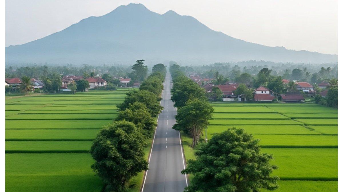 Keindahan alam di Jawa Tengah dengan hamparan sawah hijau.