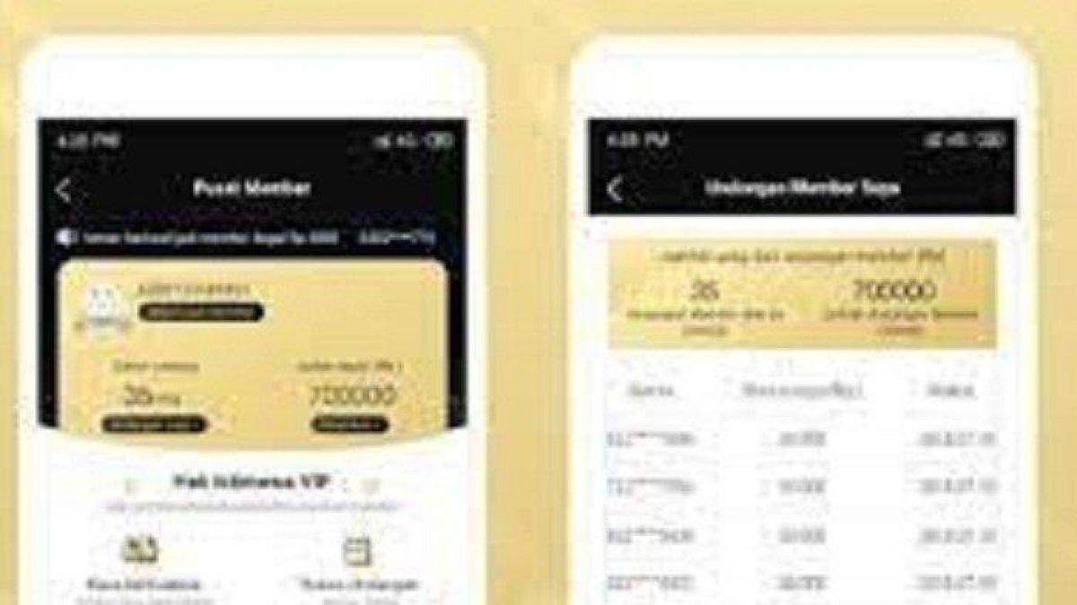 NewsCat Aplikasi Penghasil Uang Rp100 Ribu, Begini Cara Daftar Jadi Member VIP