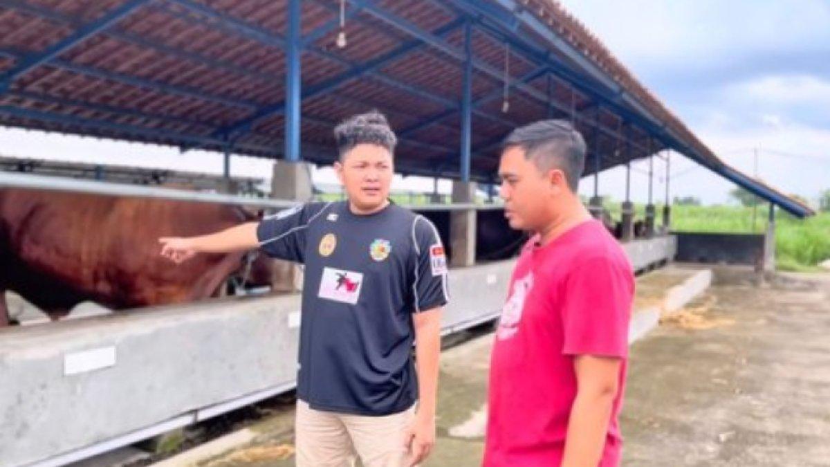 Nopek Novian berkurban sapi pada Idul Adha 2024