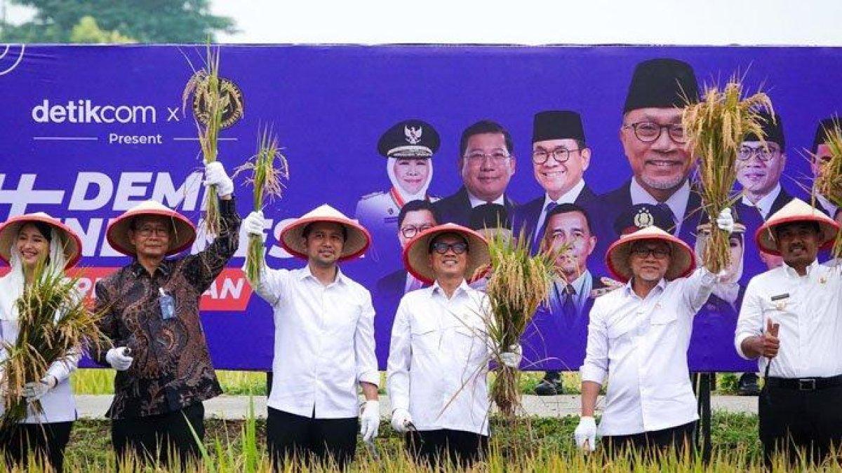 PANEN RAYA NGAWI - Wakil Gubernur Jawa Timur, Emil Dardak bersama Menteri Koordinator (Menko) Pangan RI, Zulkifli Hasan, melakukan panen raya di area persawahan Desa Pangkur, Kecamatan Pangkur, Ngawi, Jawa Timur, seluas 5 hektare, Senin (3/3/2025). Ia memastikan pelaksanaan program seasembada pangan dorong kesejahteraan petani.