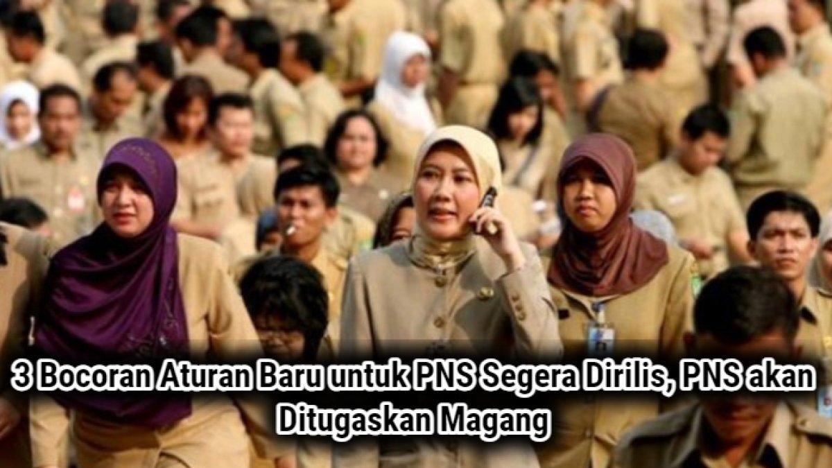 Catat! 3 Bocoran Aturan Baru PNS yang Segera Dirilis, PNS akan Ditugaskan Magang