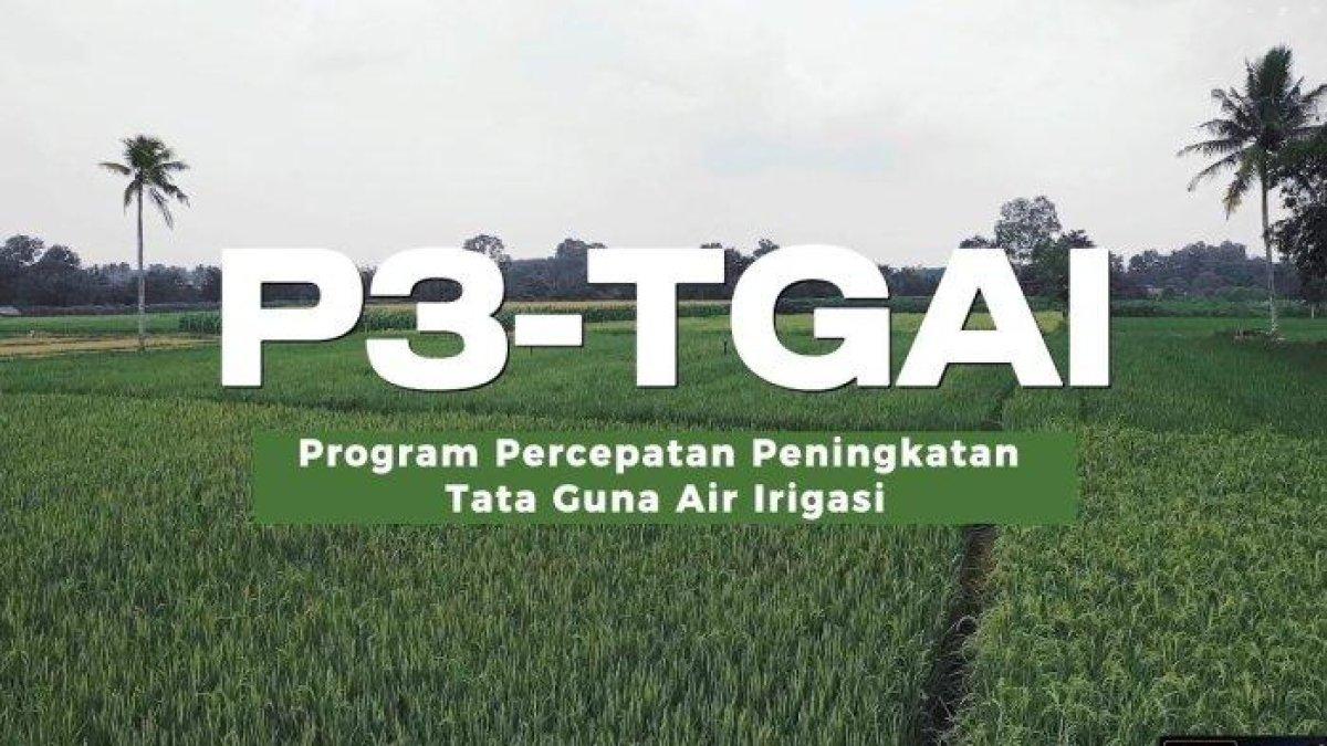 P3 TGAI - Lowongan kerja Kementerian PUPR untuk Program Percepatan Peningkatan Tata Guna Air Irigasi (P3-TGAI).