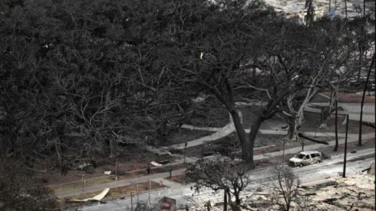 Pada hari Selasa, kebakaran hutan melanda kota bersejarah Lahaina, Hawaii
