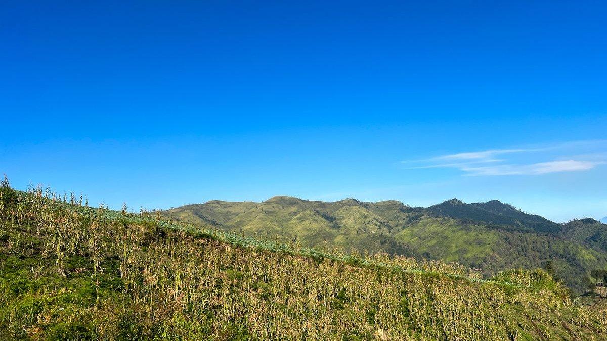 WISATA JAWA TIMUR - Padang Sabana Bukit Premium, Pasuruan, Selasa (24/6/2025)