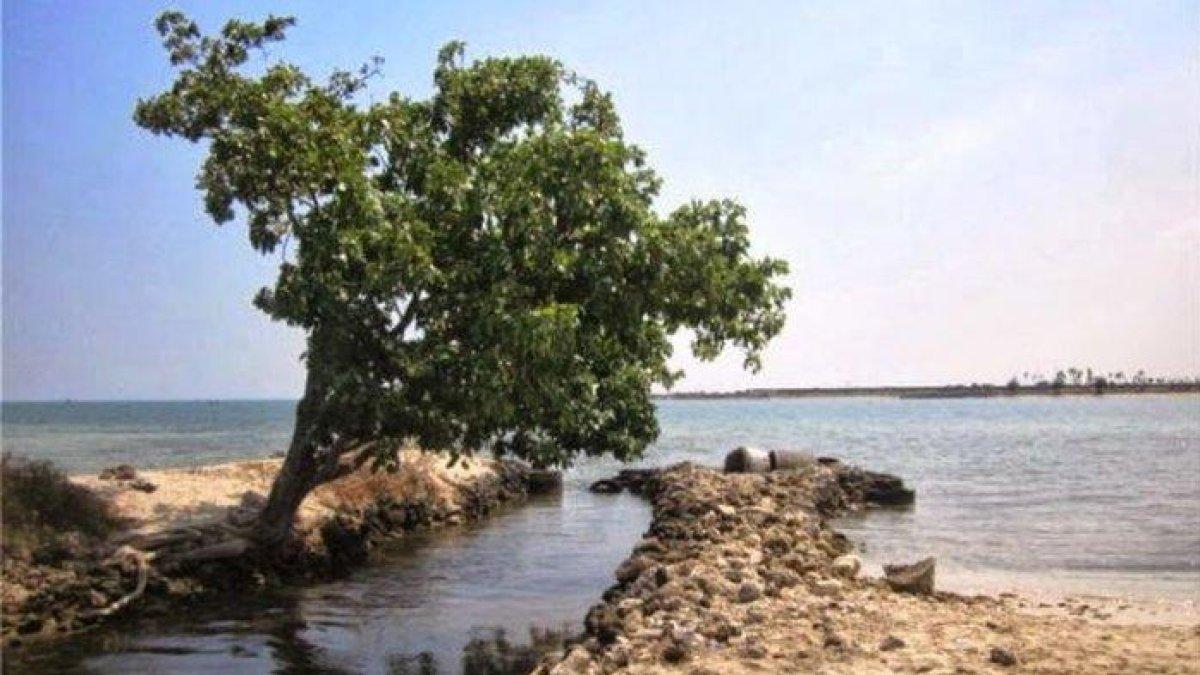 WISATA AIR - Potret Pantai Blebak disadur dari TribunnewsWiki.com pada Selasa (11/3/2025). Pantai Blebak berlokasi di Jepara, Jawa Tengah