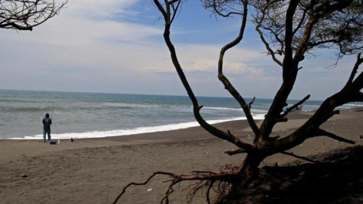 PANTAI GOA CEMARA - Salah satu destinasi wisata yang memiliki keunikan berupa pohon cemara yang tumbuh di bibir pantai. Pantai Goa Cemara buka 24 jam dengan harga tiket masuk Rp 5.000 per orang.