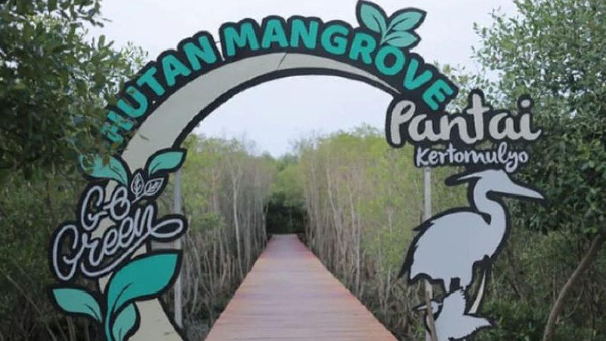 WISATA SERU - Potret Pantai Kertomulyo diambil dari Instagram pada Rabu (9/42025). Pantai Kertomulyo berada di Desa Kertomulyo, Kecamatan Trangkil, Kabupaten Pati, Jawa Tengah.