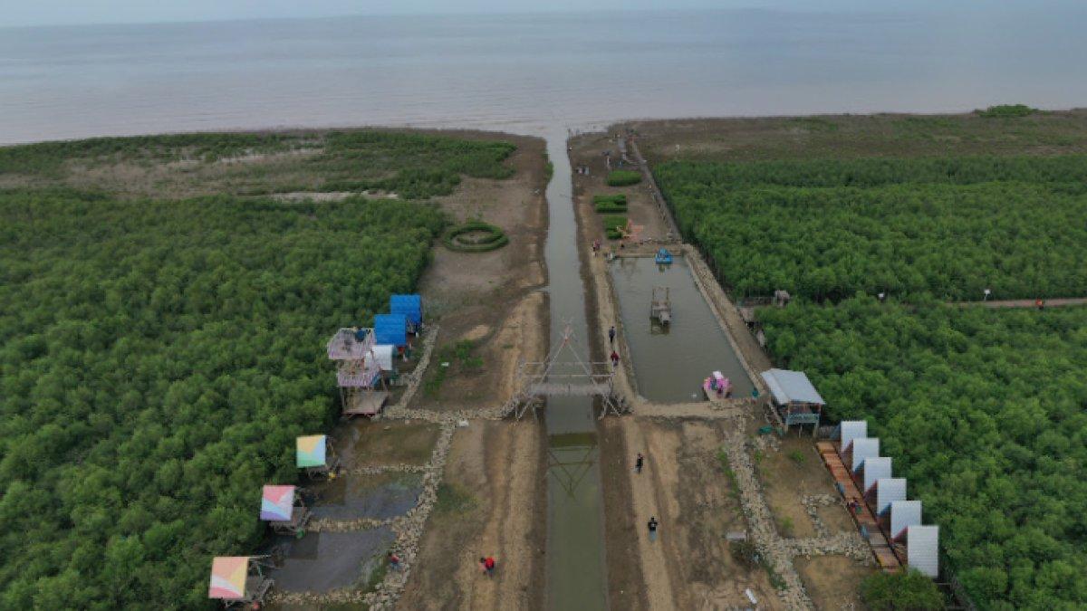 WISATA SERU - Potret Pantai Kertomulyo diambil Google Street View pada Rabu (9/42025). Pantai Kertomulyo berada di Kecamatan Trangkil, Kabupaten Pati, Jawa Tengah.