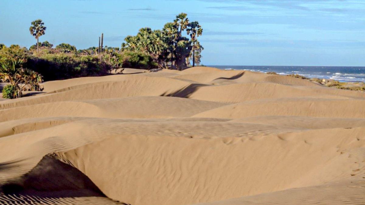 WISATA AIR - Potret Pantai Oetune disadur dari Kompas.com pada Minggu (9/3/2025). Pantai Oetune tawarkan sensasi bak gurun pasir.