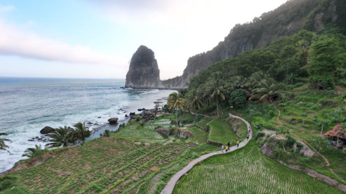 WISATA AIR - Potret Pantai Pangasan diambil dari Google Street View pada Kamis (3/4/2025). Pantai Pangasan berada di Pacitan, Jawa Timur.