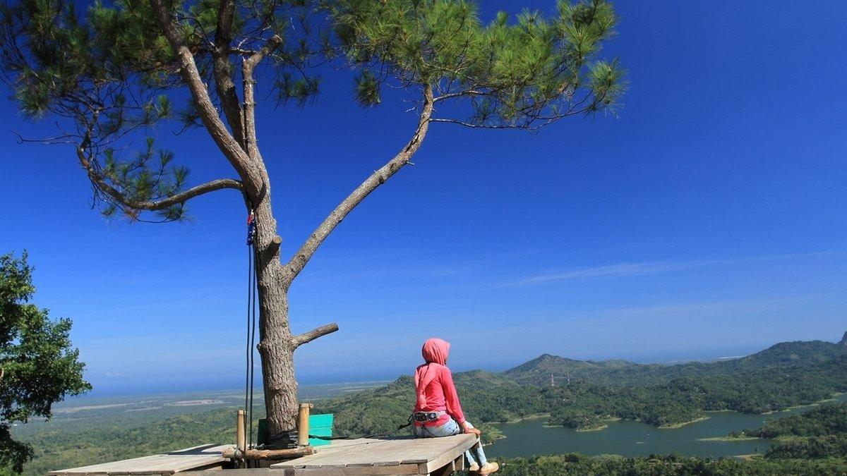 WISATA KULON PROGO - Pemandangan dari kawasan wisata alam Kalibiru Kulon Progo.