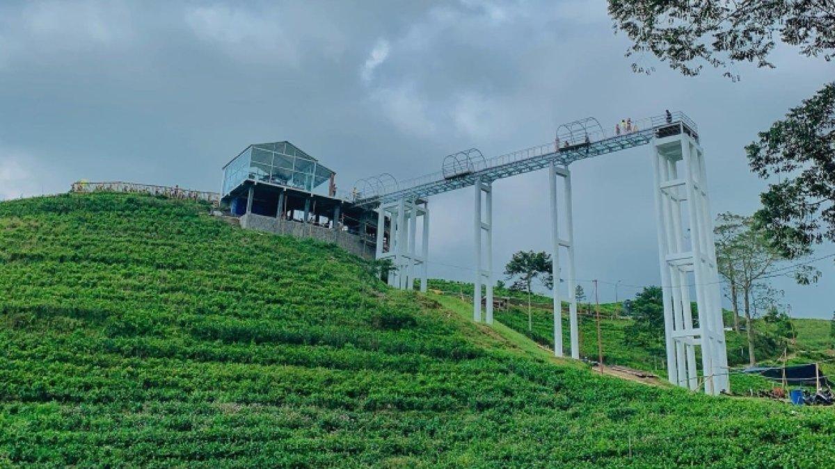 WISATA KARANGANYAR - Pemandangan jembatan kaca Kemuning Sky Hills yang dikelilingi kebun teh