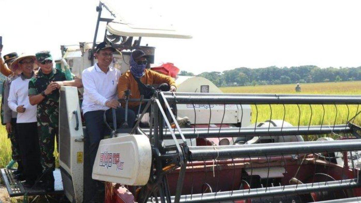 100 HARI KERJA - Pemkab Bojonegoro mengikuti panen raya padi serentak secara hybrid yang digelar secara nasional bersama Presiden Prabowo Subianto yang dipusatkan di Kabupaten Majalengka, Jawa Barat, Senin (7/4/2025). Di Bojonegoro panen raya dilaksanakan di areal persawahan seluas 400 hektare di Desa Sukorejo, Kecamatan Bojonegoro.
