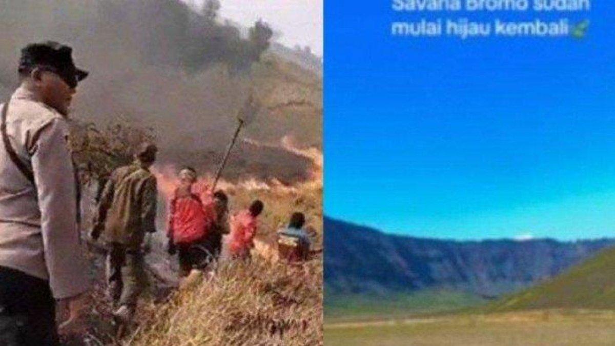 Penampakan savana Gunung Bromo