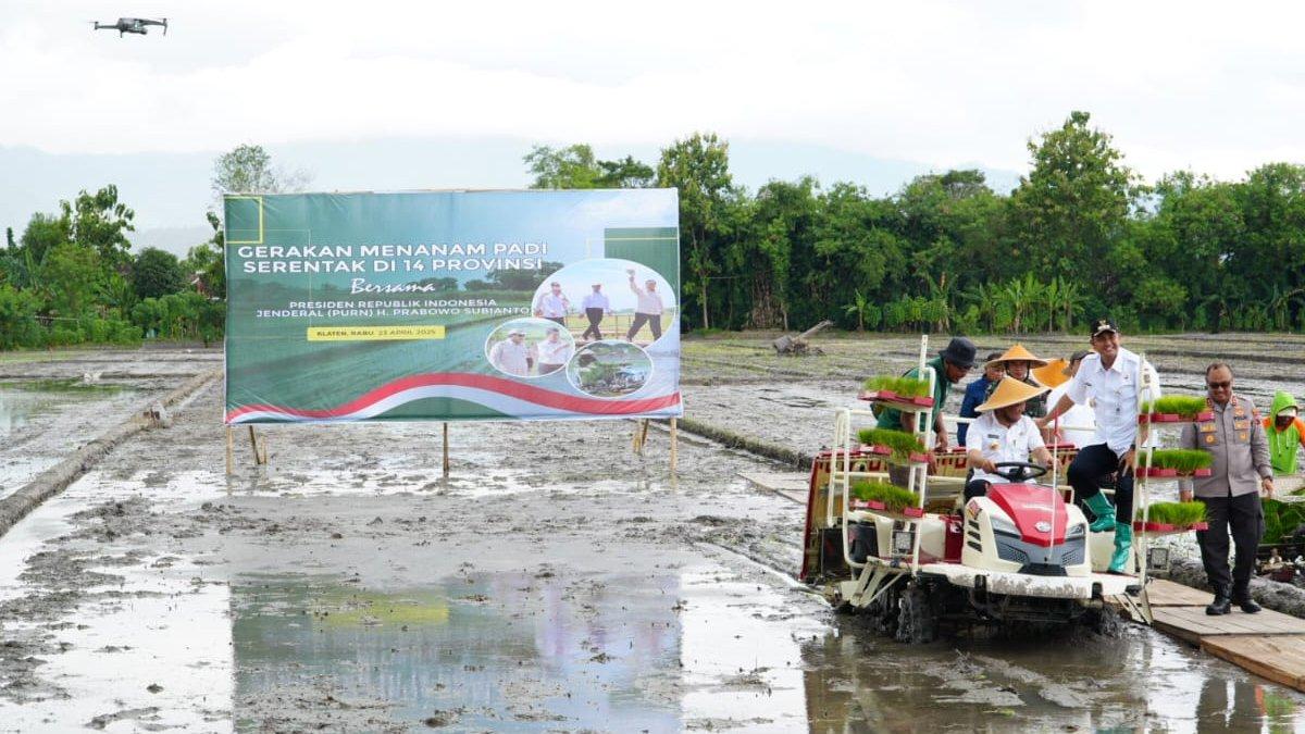 TANAM BIBIT KLATEN - Penanaman bibit padi di areal persawahan Desa Puluhan, Kecamatan Trucuk, Klaten, oleh Gubernur Jawa Tengah didampingi Bupati Klaten Hamenang Wajar Ismoyo menggunakan mesin rice transplater, Rabu (23/4/2025).
