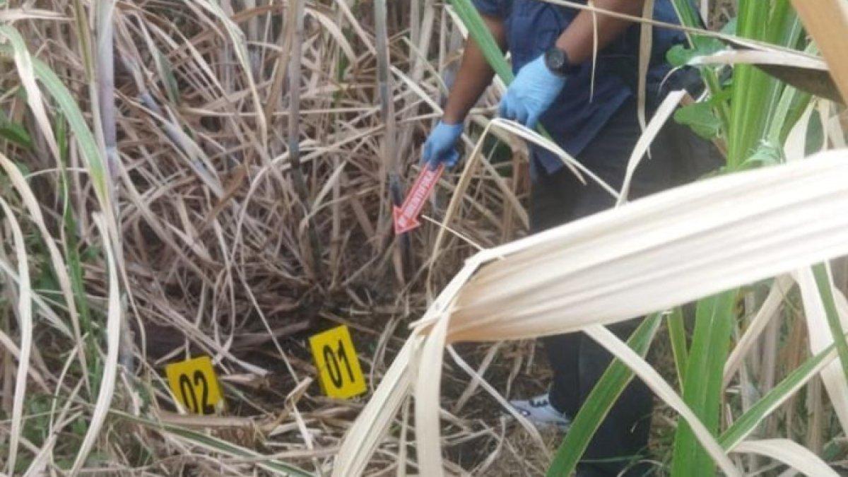 Penemuam mayat misterius di tengah pahan tebu Desa Banyuputih, Situbondo, Jawa Timur.