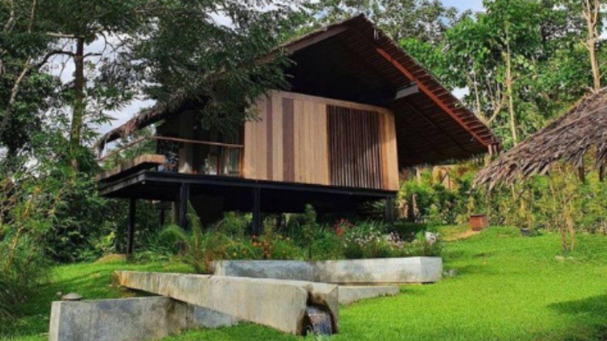 Penginapan Nicholas Saputra di hutan Sumatera Utara