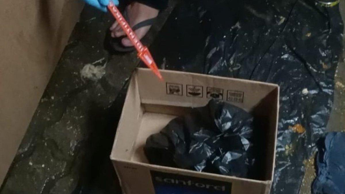 Pengunjung BCS Mall Batam dihebohkan dengan temuan janin bayi berjenis perempuan di saluran septic tank