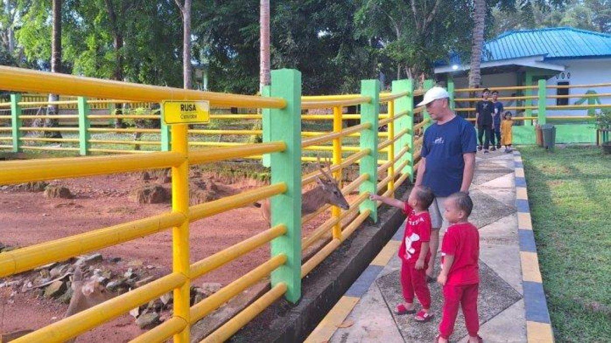 TAMAN MINI ZOO - Pengunjung sedang beri makan Rusa di kawasan taman Mini Zoo Kijang, BintanTimur, Kabupaten Bintan, Kepulauan Riau (Kepri).