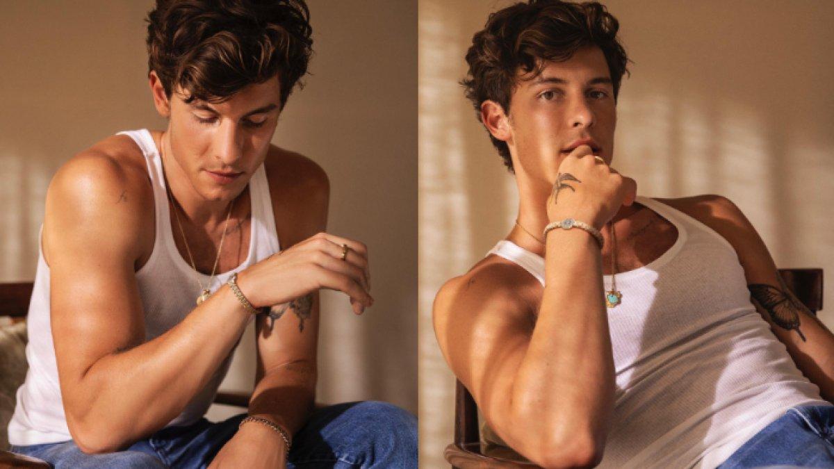 Penyanyi asal Kanada, Shawn Mendes