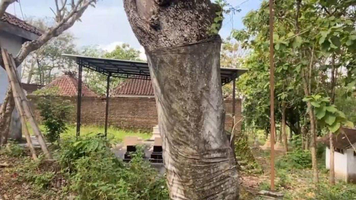 WISATA KLATEN: Pesona Gunung Wijil, wisata bukit yang cantik di Kabupaten Klaten
