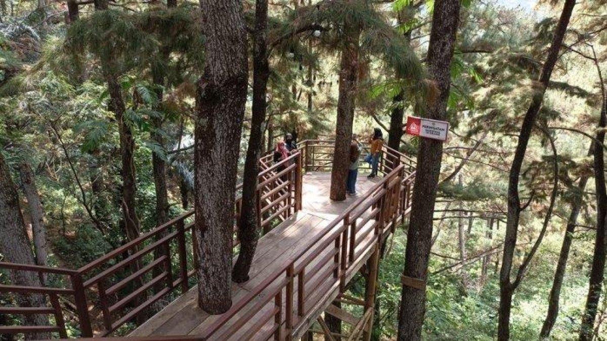 WISATA ALAM - Potret Pijar Park disadur dari TribunTravel.com pada Minggu (23/3/2025). Pijar Park berada di Kudus, Jawa Tengah, harga tiket masuknya bersahabat di kantong.