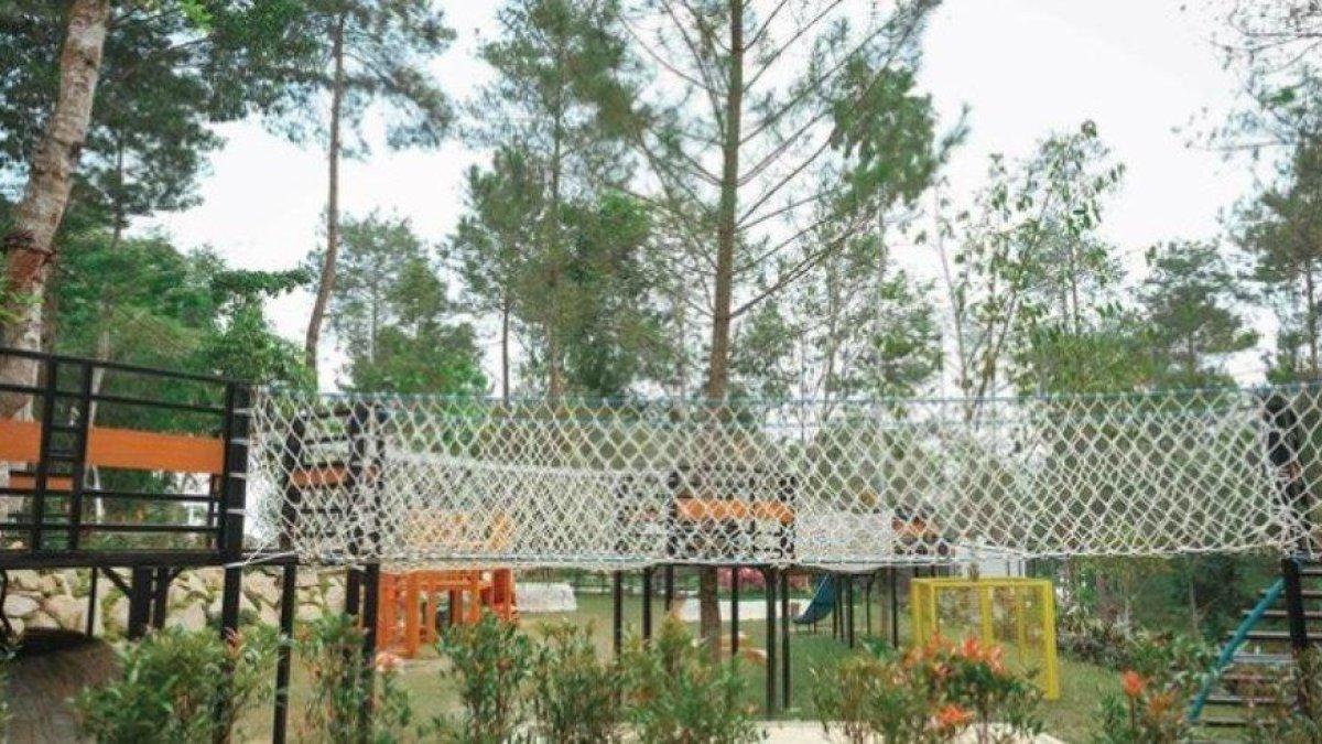 WISATA ALAM - Potret Pinea Forest Mangli disadur dari Kompas.com pada Kamis (10/4/2025). Pinea Forest Mangli berada di tengah-tengah hutan pinus di lereng Gunung Andong.