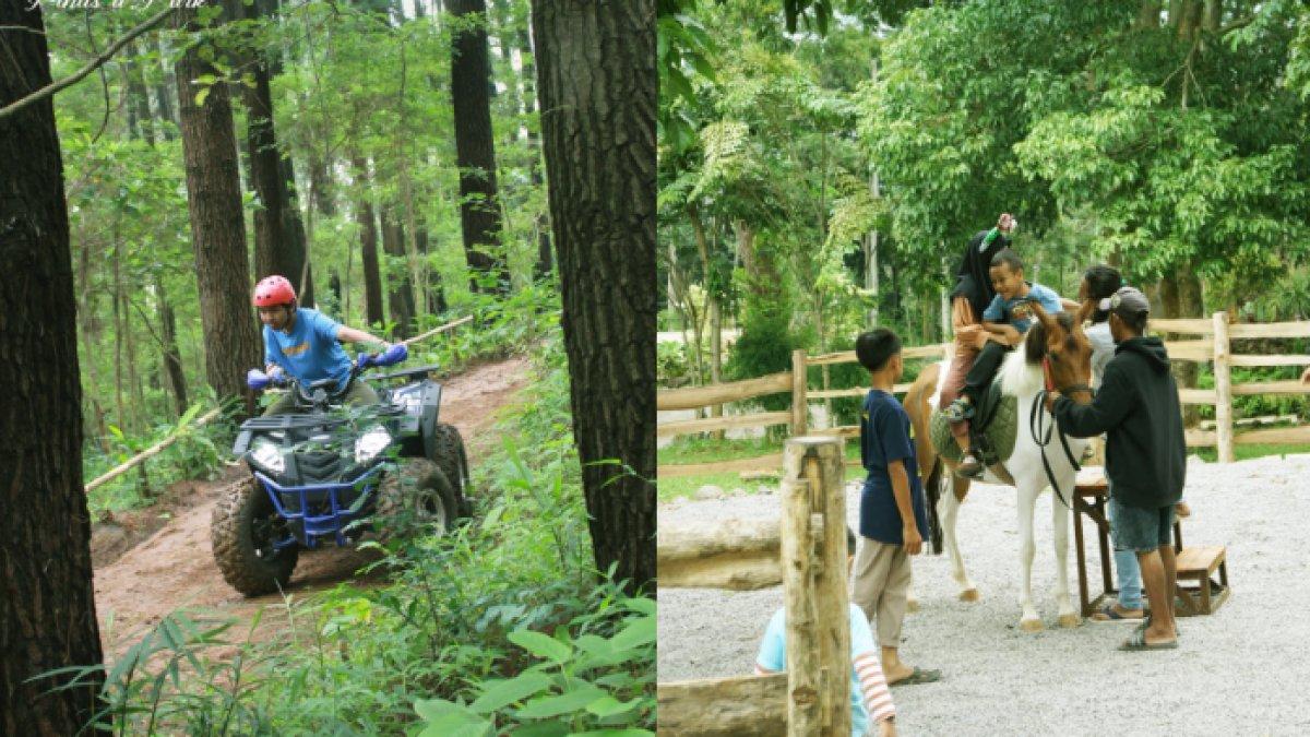 WISATA ALAM - Potret Pinusia Park diambil dari Instagram pada Minggu (6/4/2025). Pinusia Park terletak di Kabupaten Semarang, Jawa Tengah.