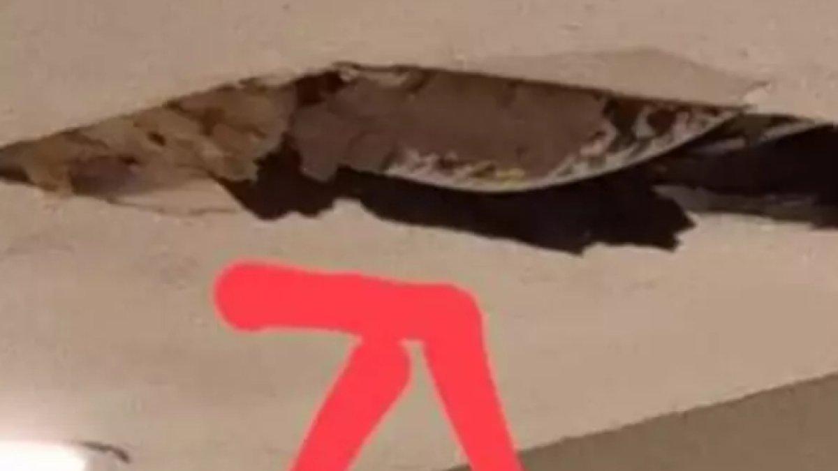 Plafon ambrol karena ada seekor ular piton